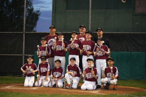 Rotary - 2015 Clarion Area Little League Champs