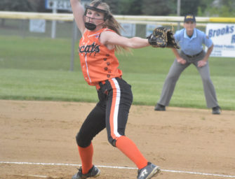 Kaitlyn Constantino Named PHSSA First Team All-State Pitcher (07/08/19)