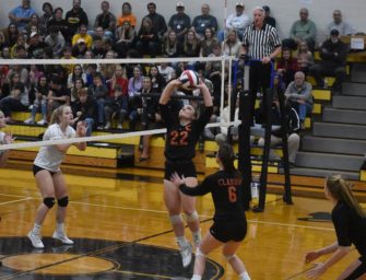 MVP Brenna Campbell Heads Strong Lady Cat Contingent On 2019 PVCA District Nine All-Star Team