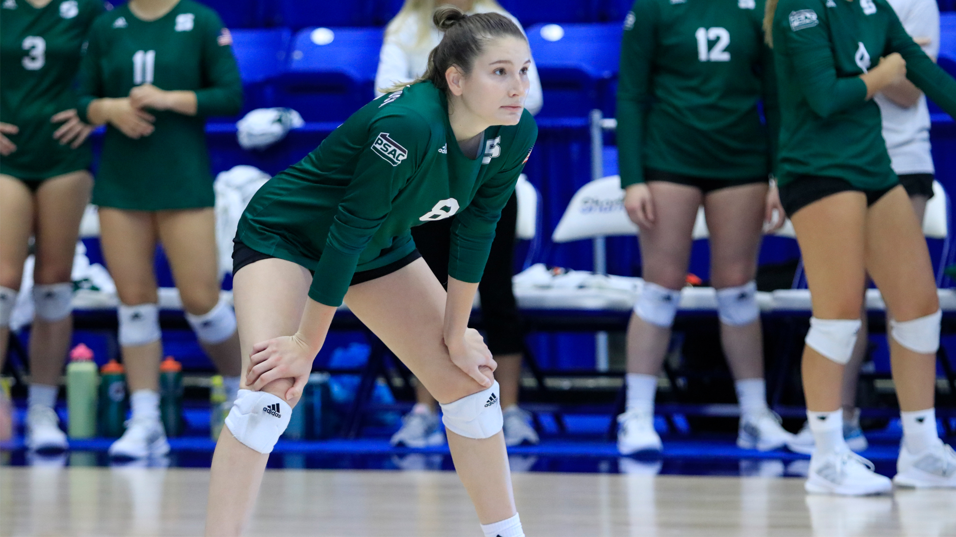 Slippery Rock Universitys Erica Selfridge, Former Clarion Area Volleyball Standout Named All-PSAC West Division Clarion Sports Zone