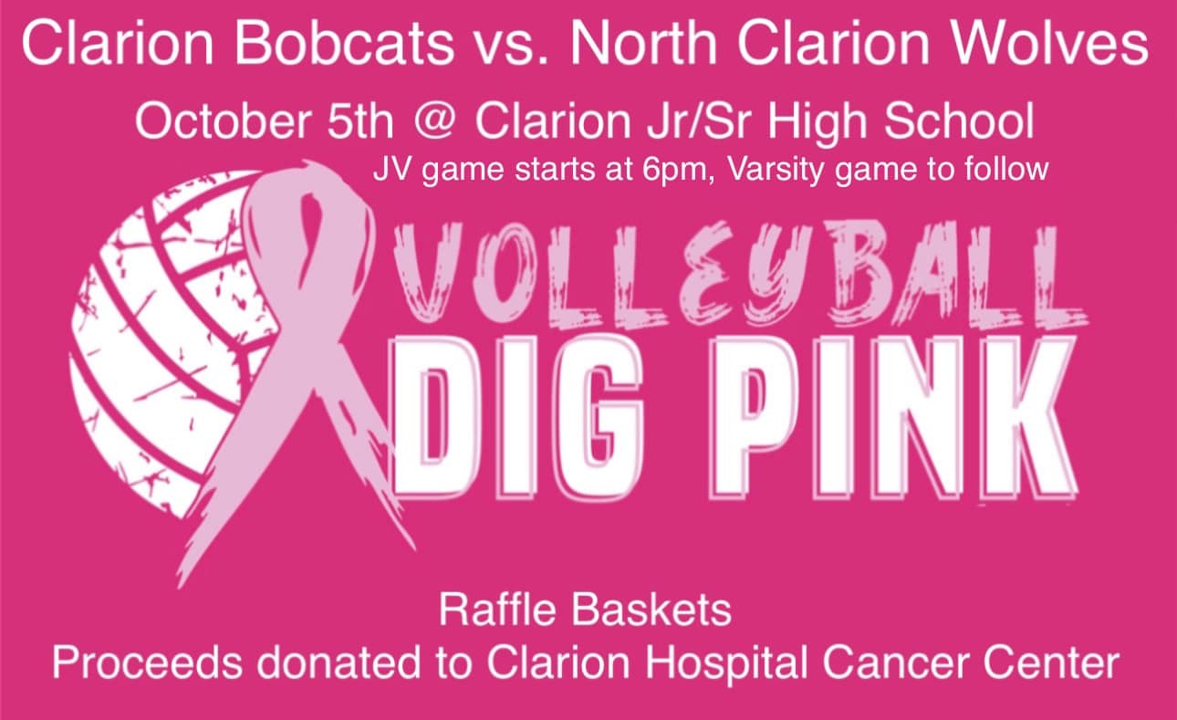 Clarion Area And North Clarion Volleyball Teams To Join Forces For Dig
