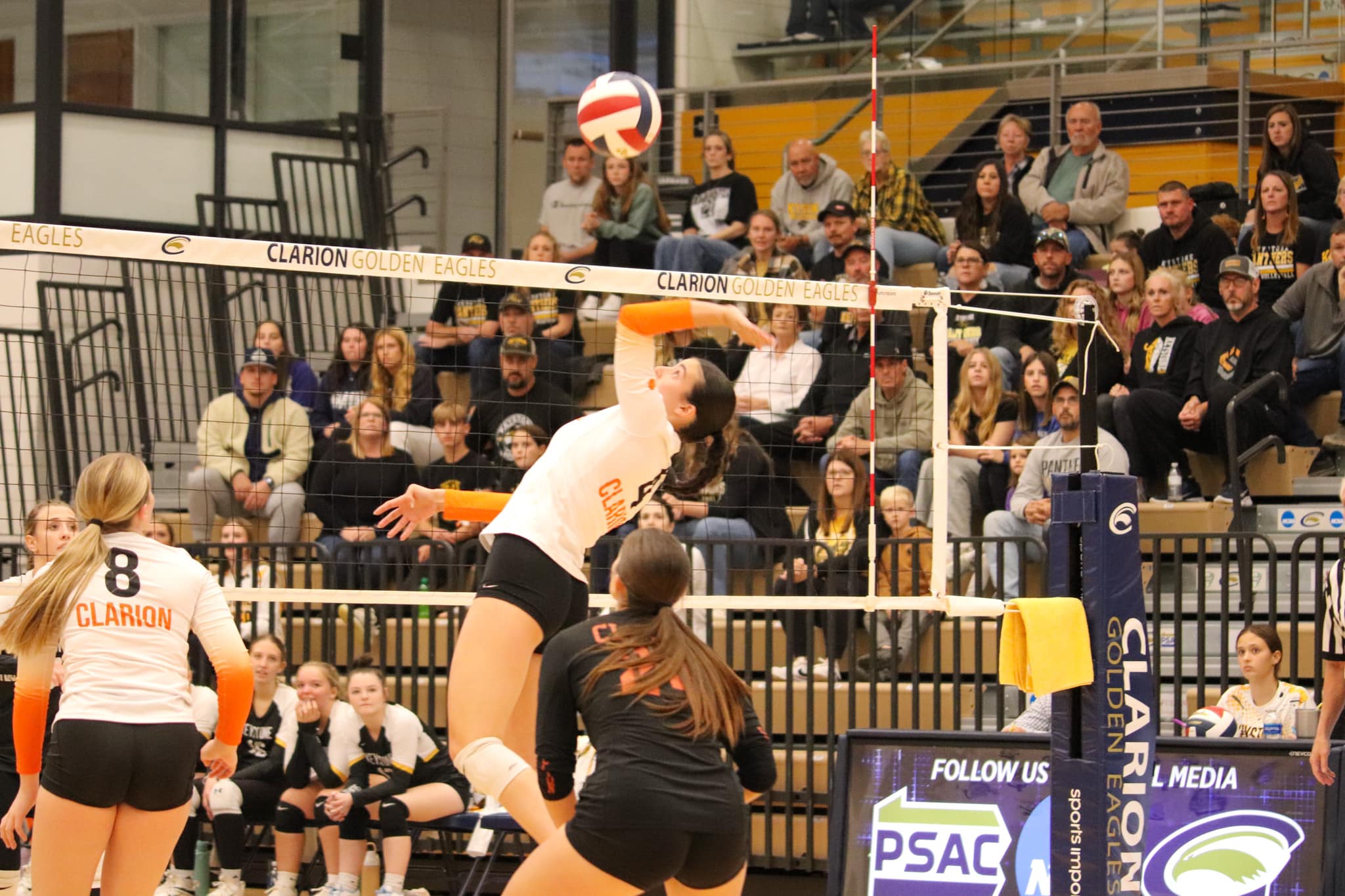 Bobcats Down Panthers In KSAC Volleyball Semifinal; Will Face Lions In