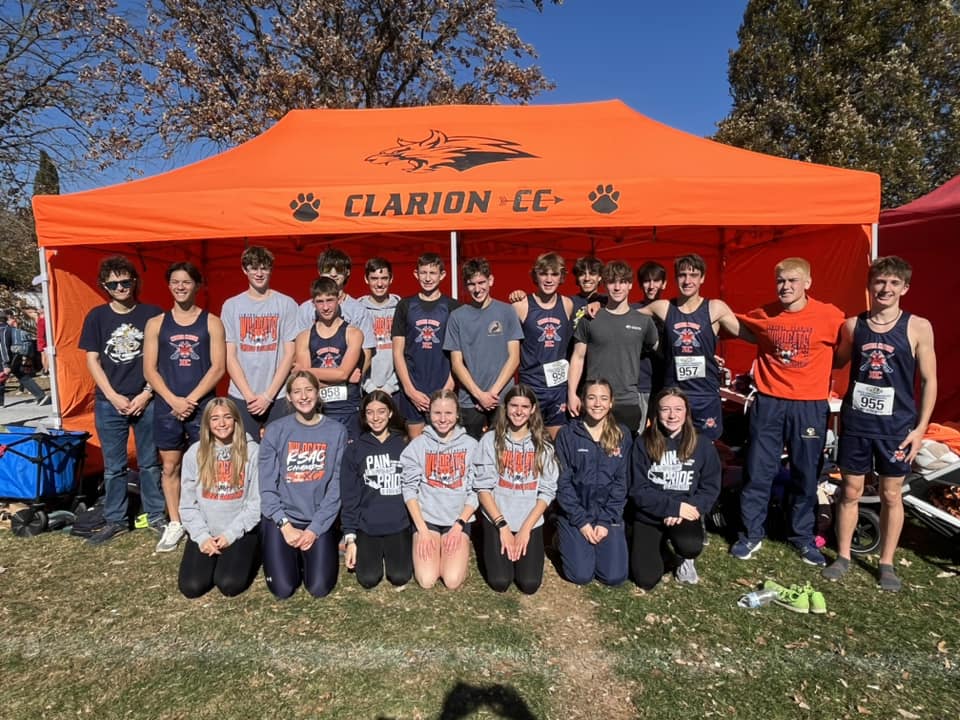 https://clarionsportszone.com/wp-content/uploads/2024/11/Wildcats-Cross-Country-2024-Diane-Lutz-Team-States.jpg