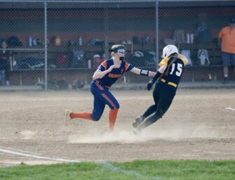 Softball: Wildcats Fall To Panthers